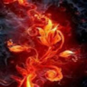 Meet your Posher, Serena